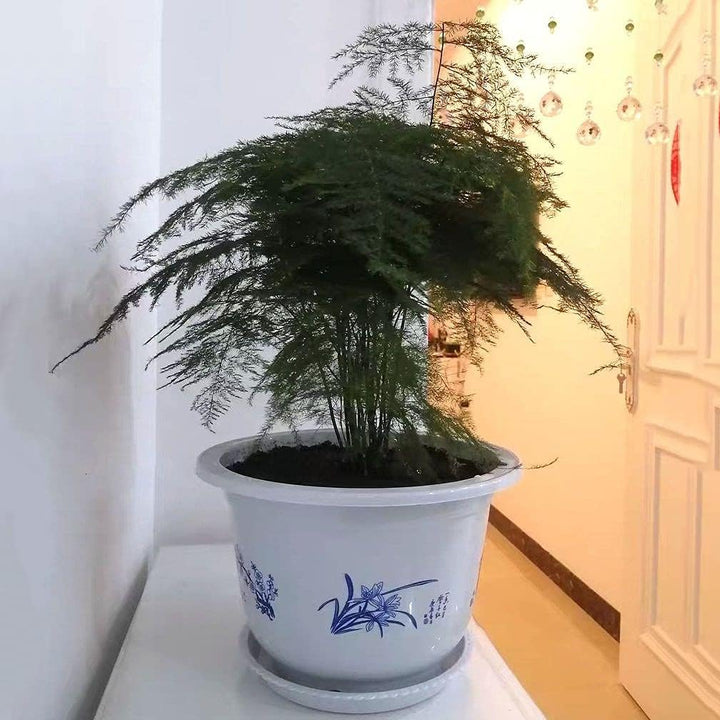 Lisslune | Plastic flower pot with bamboo motif – Elegant planter for balcony and garden