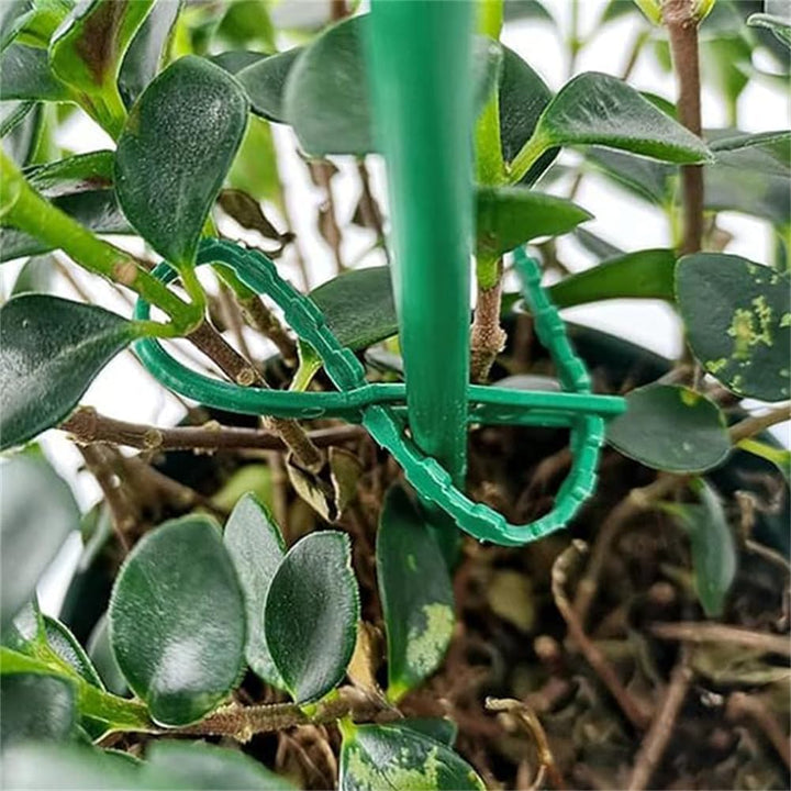 Lisslune | Plant fastening cable tie set for stable securing of plants