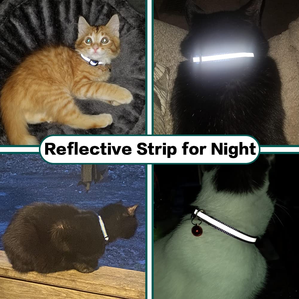 Lisslune | Stay Connected: pet locator collar