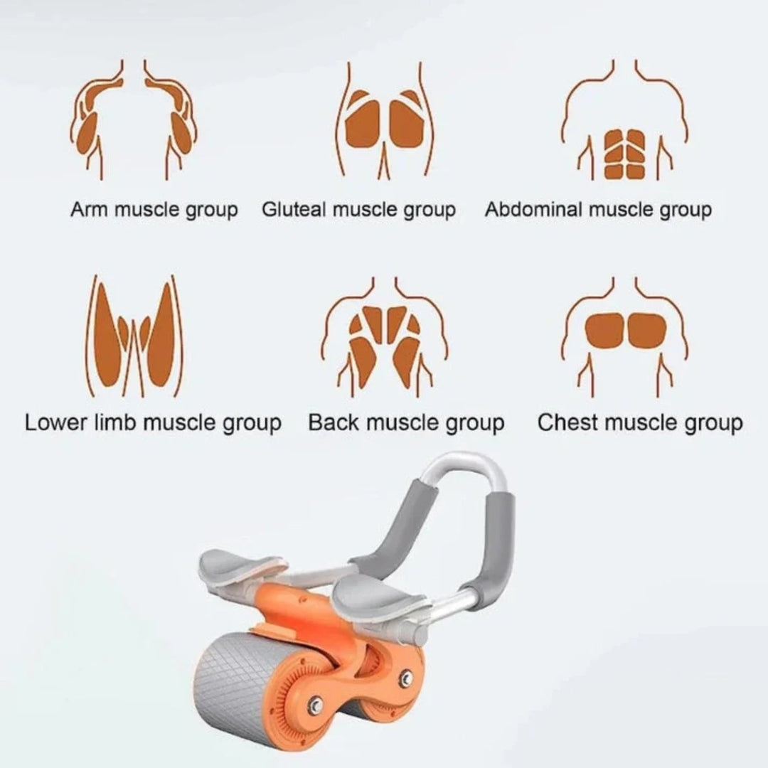 Lisslune | Automatic Back-Abdominal Wheel