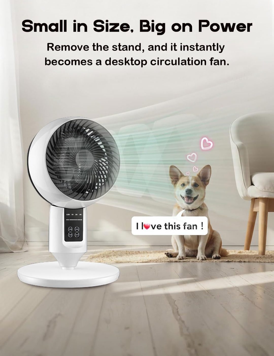 Lisslune | Adjustable Pedestal Fan with 3D Oscillation – Aerion