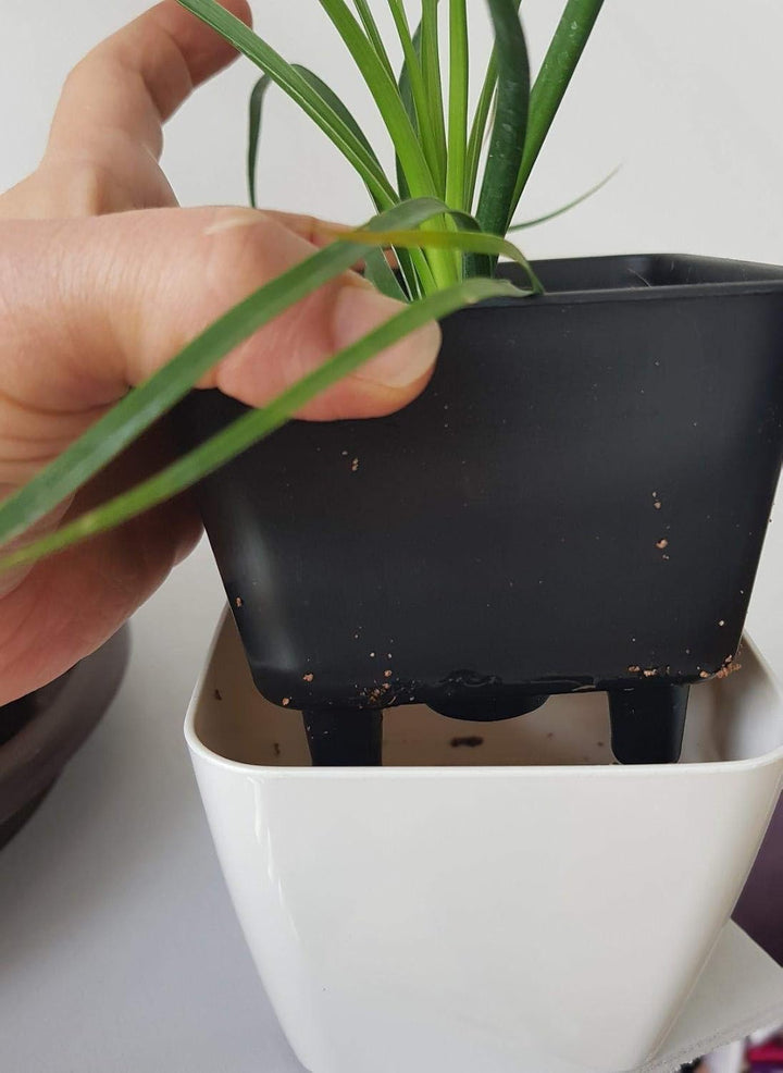 Lisslune | Flower pot with irrigation system – Self-watering plant pot for indoor and outdoor use