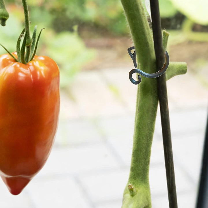 Lisslune | Cat-shaped Plant Clip – Cute Plant Support for Garden and House Plants