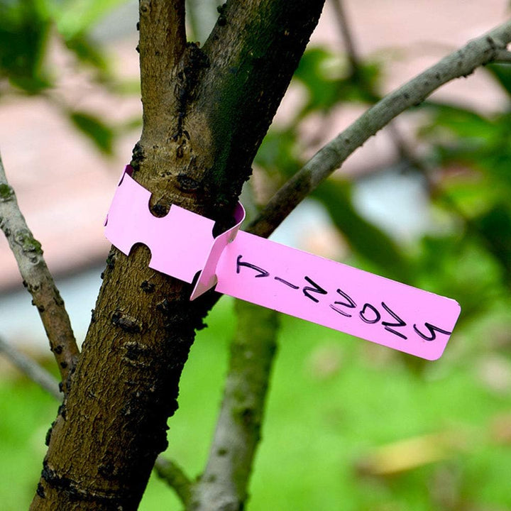 Lisslune | Reusable plant labels made of plastic for garden and tree marking