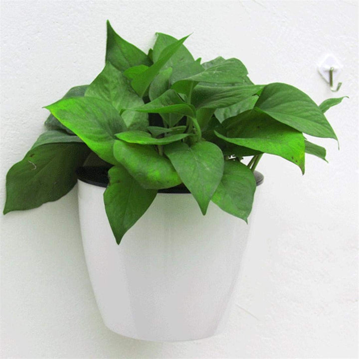 Lisslune | Self-watering hanging plant pot – Modern flower pot for wall mounting
