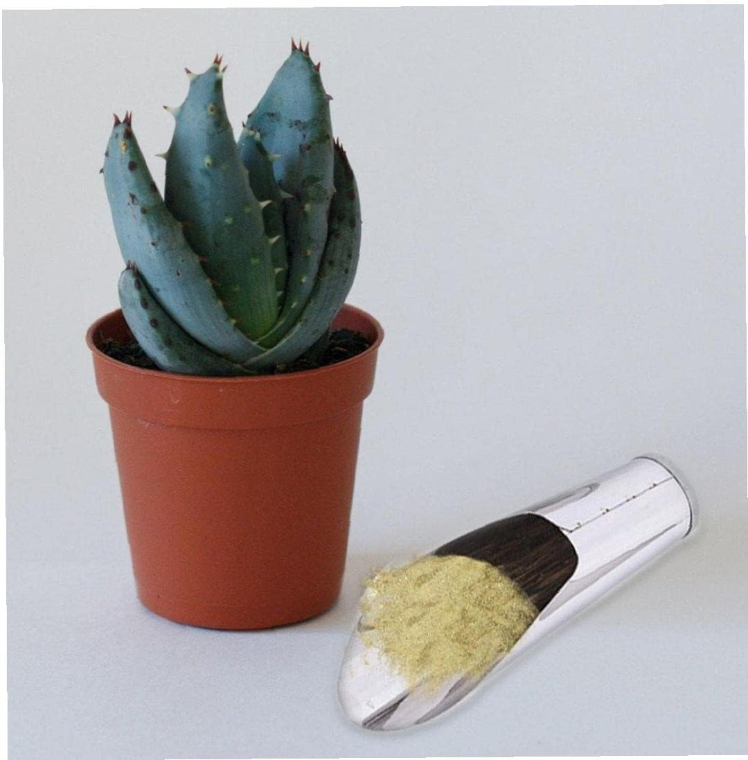 Lisslune | Stainless Steel Scoop for Potting Soil – Robust Planting Scoop for Garden and Balcony