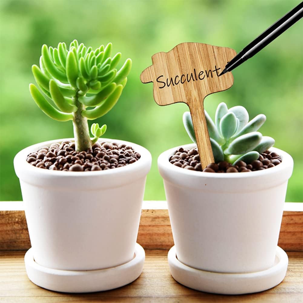 Lisslune | Plant labels made of wood for garden and balcony – Rewritable labels for herbs and plants