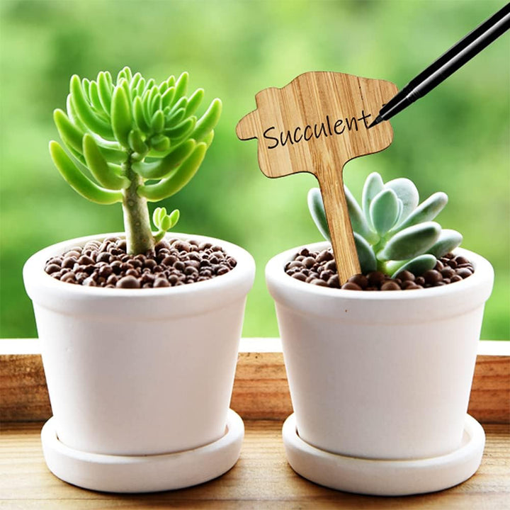 Lisslune | Plant labels made of wood for garden and balcony – Rewritable labels for herbs and plants