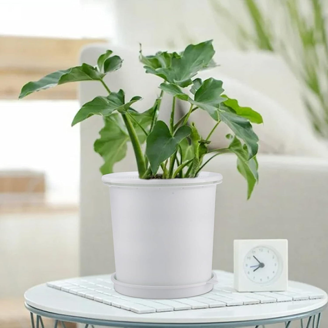 Lisslune | Breathable Root Control Pot for Plants – Ideal for Healthy Growth and Optimal Aeration