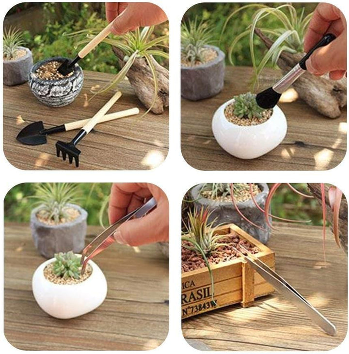 Lisslune | Succulent Garden Tool Set with Spray Bottle and Accessories