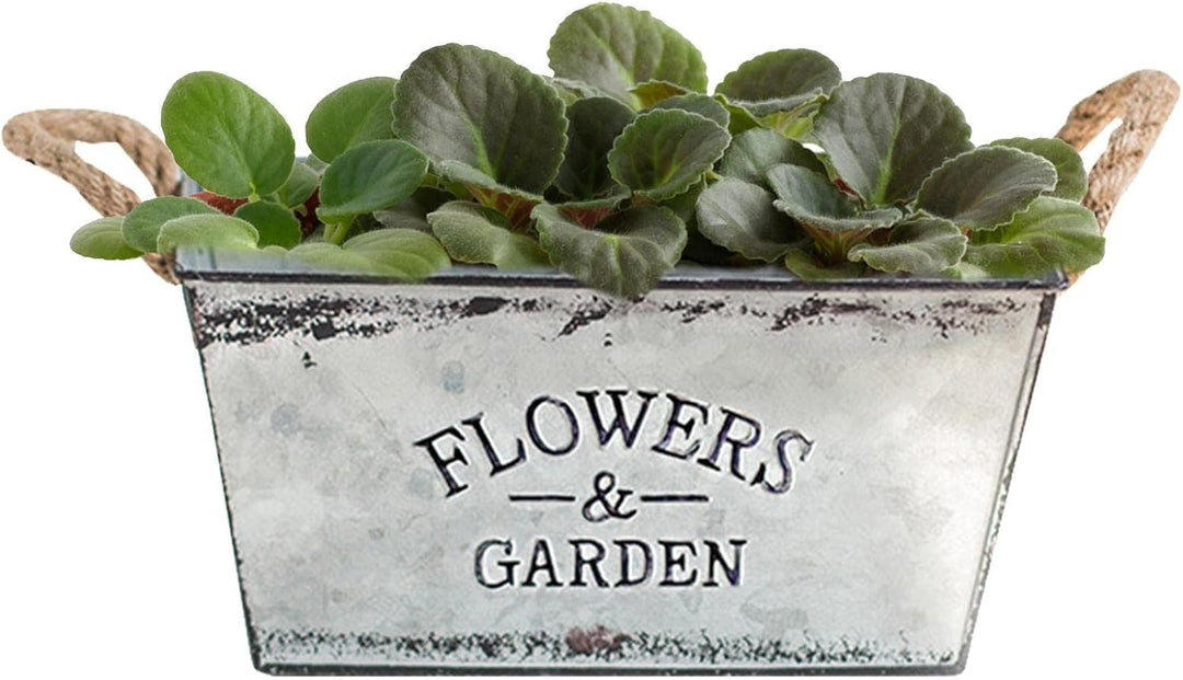 Lisslune | Decorative flower and garden container made of metal with hemp rope handles