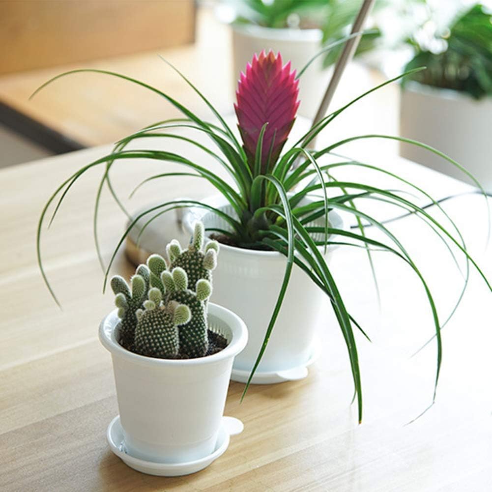 Lisslune | Breathable Root Control Pot for Plants – Ideal for Healthy Growth and Optimal Aeration