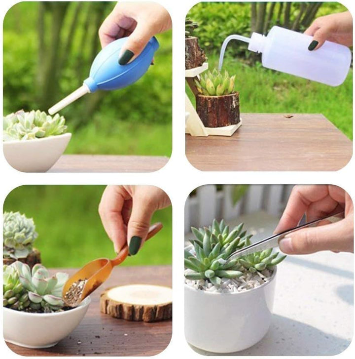 Lisslune | Succulent Garden Tool Set with Spray Bottle and Accessories