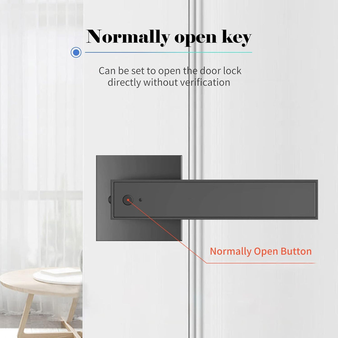 Lisslune | Smart Fingerprint Door Lever Lock with Key Access & 30 User Capacity – Nivora