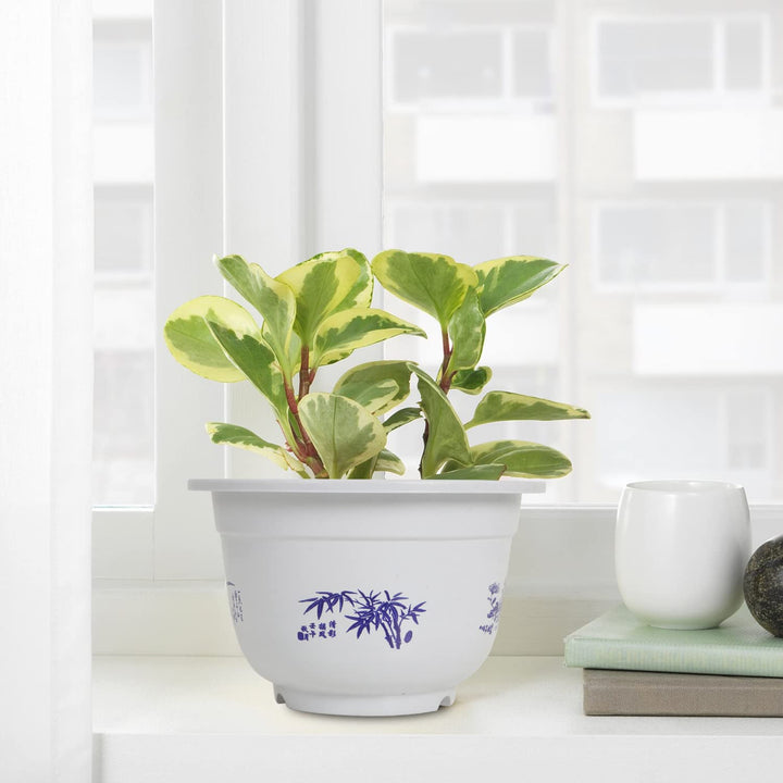 Lisslune | Plastic flower pot with bamboo motif – Elegant planter for balcony and garden