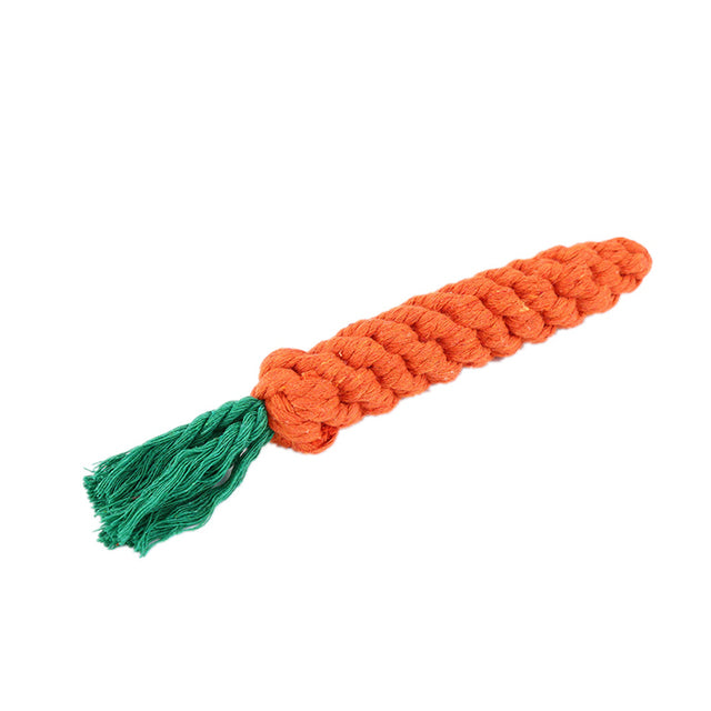 Lisslune | Sailing toy for pets