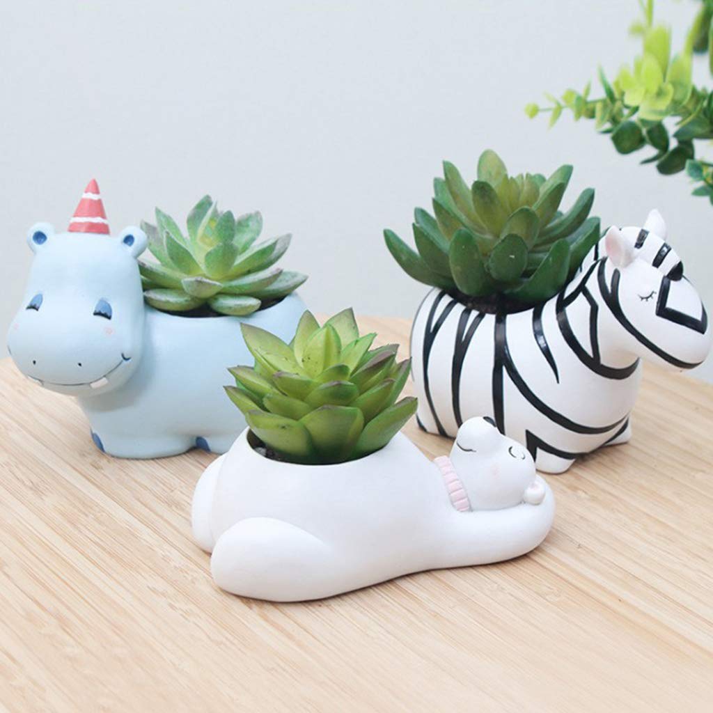 Lisslune | Animal Plant Pots – Funny Animal Designs for Succulents and Cacti