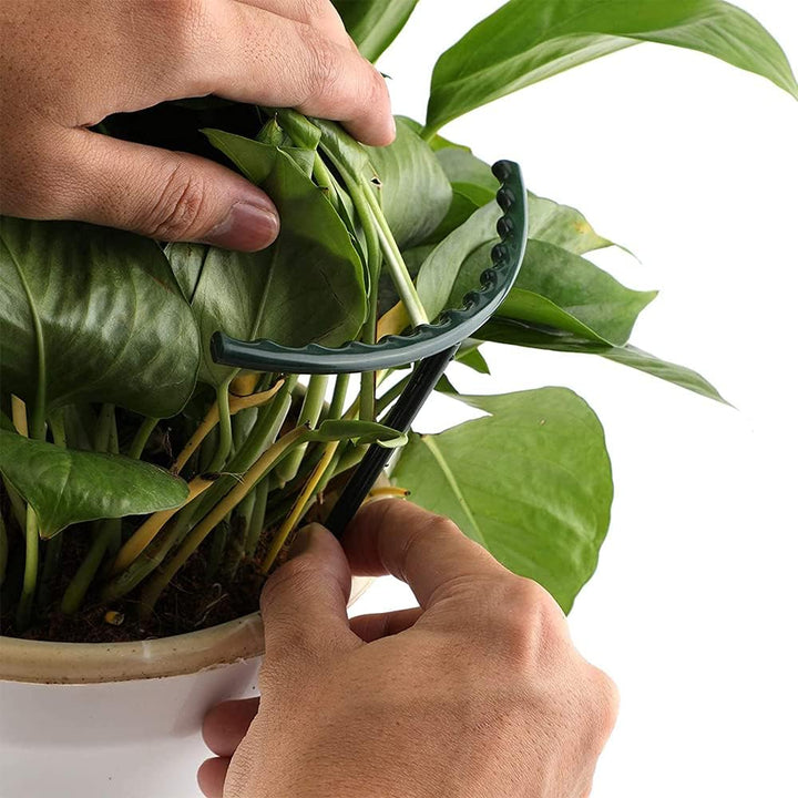Lisslune | Climbing support for plants – Robust holder with cage design for growth and stability