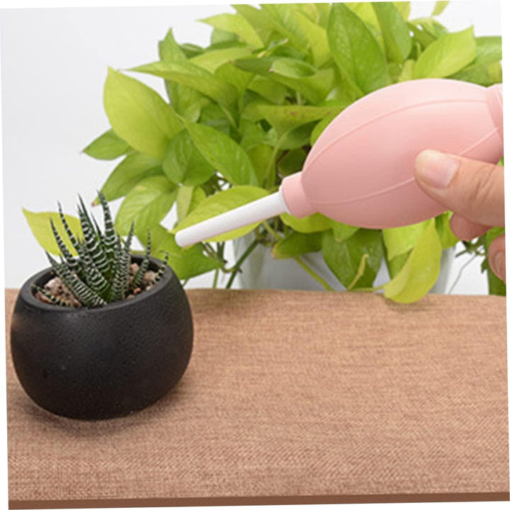 Lisslune | Combination set for succulent planting tools – Practical set for care and planting