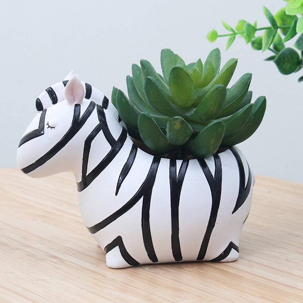 Lisslune | Animal Plant Pots – Funny Animal Designs for Succulents and Cacti