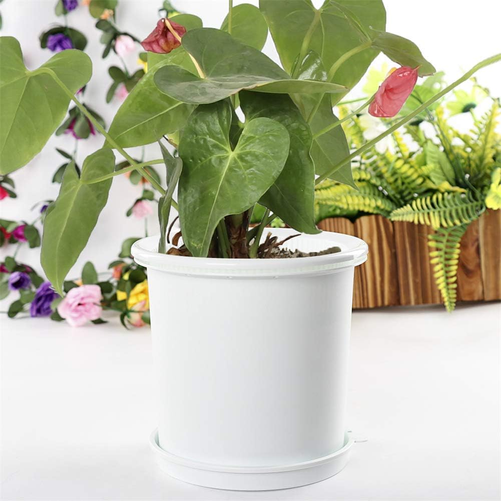 Lisslune | Breathable Root Control Pot for Plants – Ideal for Healthy Growth and Optimal Aeration