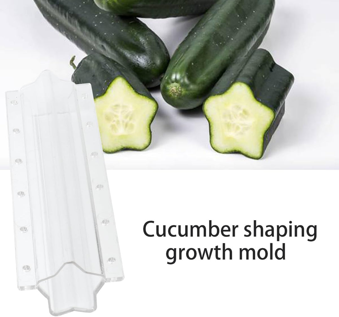 Lisslune | Star shape vegetable mold for cucumbers – Creative mold rail for fruits and vegetables