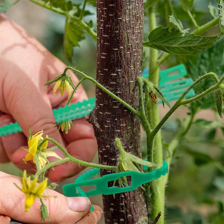 Lisslune | Plant fastening cable tie set for stable securing of plants