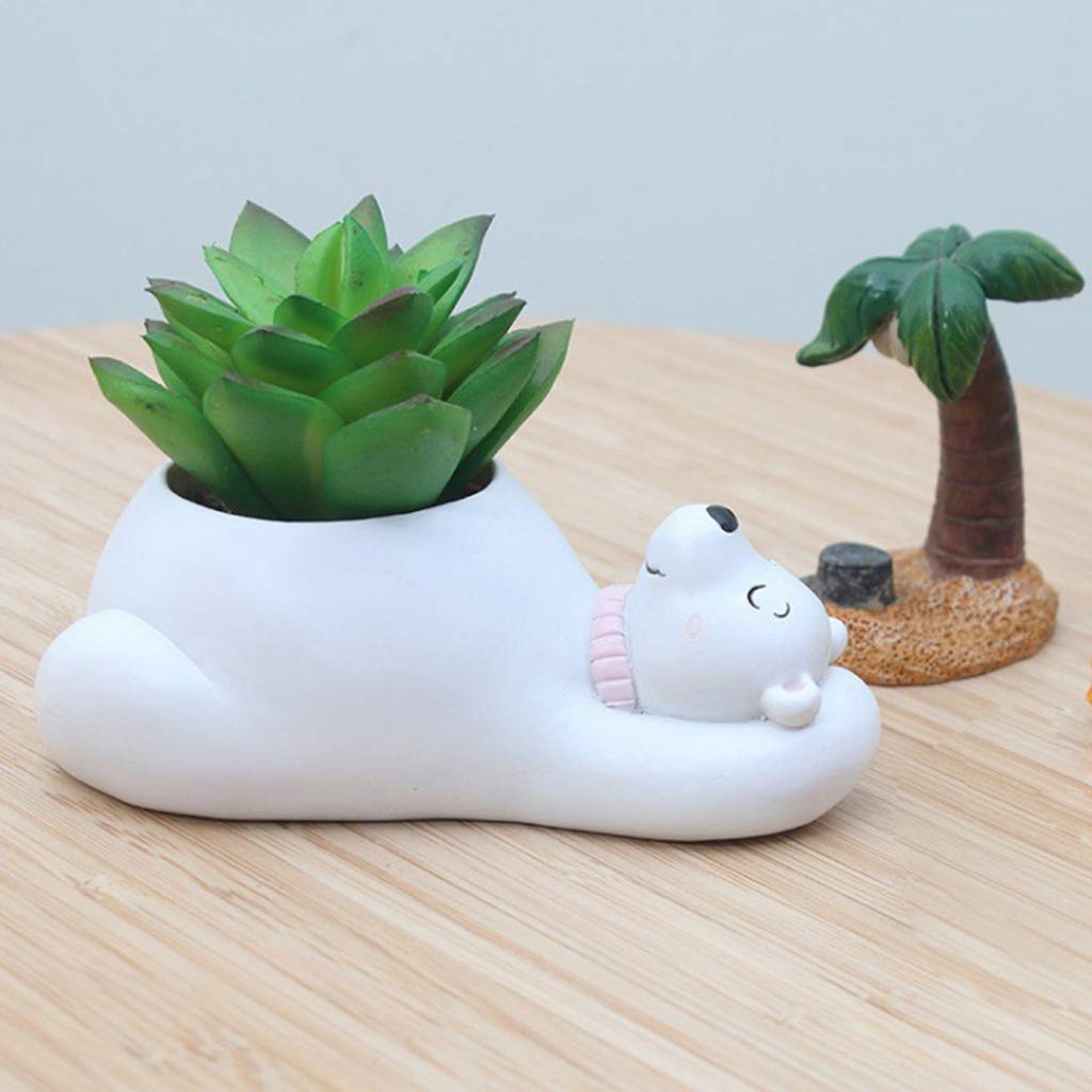 Lisslune | Animal Plant Pots – Funny Animal Designs for Succulents and Cacti
