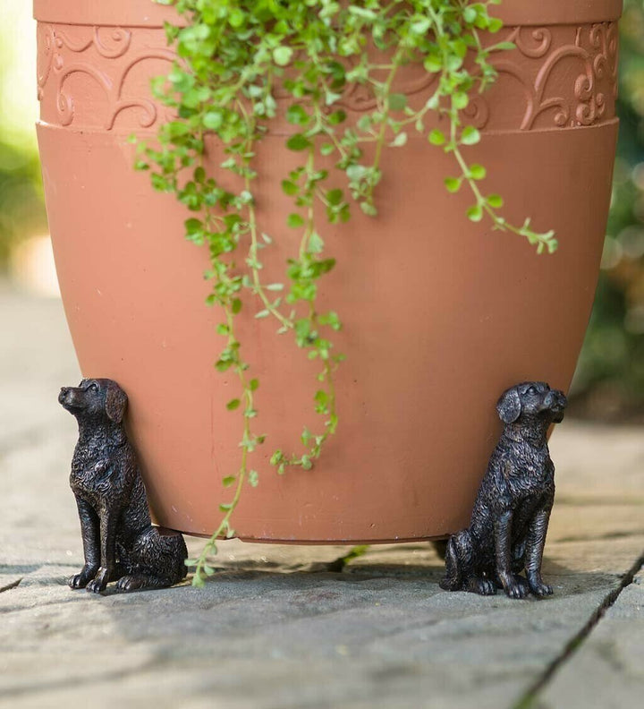 Lisslune | Potty Feet Plant Pot Feet
