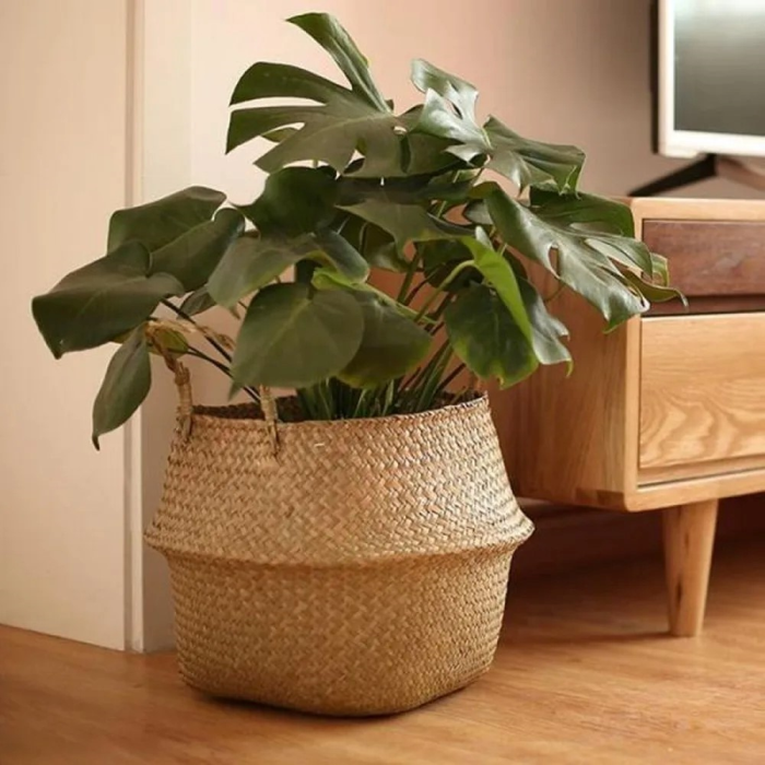 Lisslune | Rattan Plant Holder