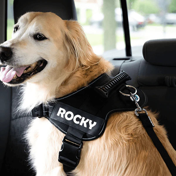 Lisslune | Adjustable dog safety belt
