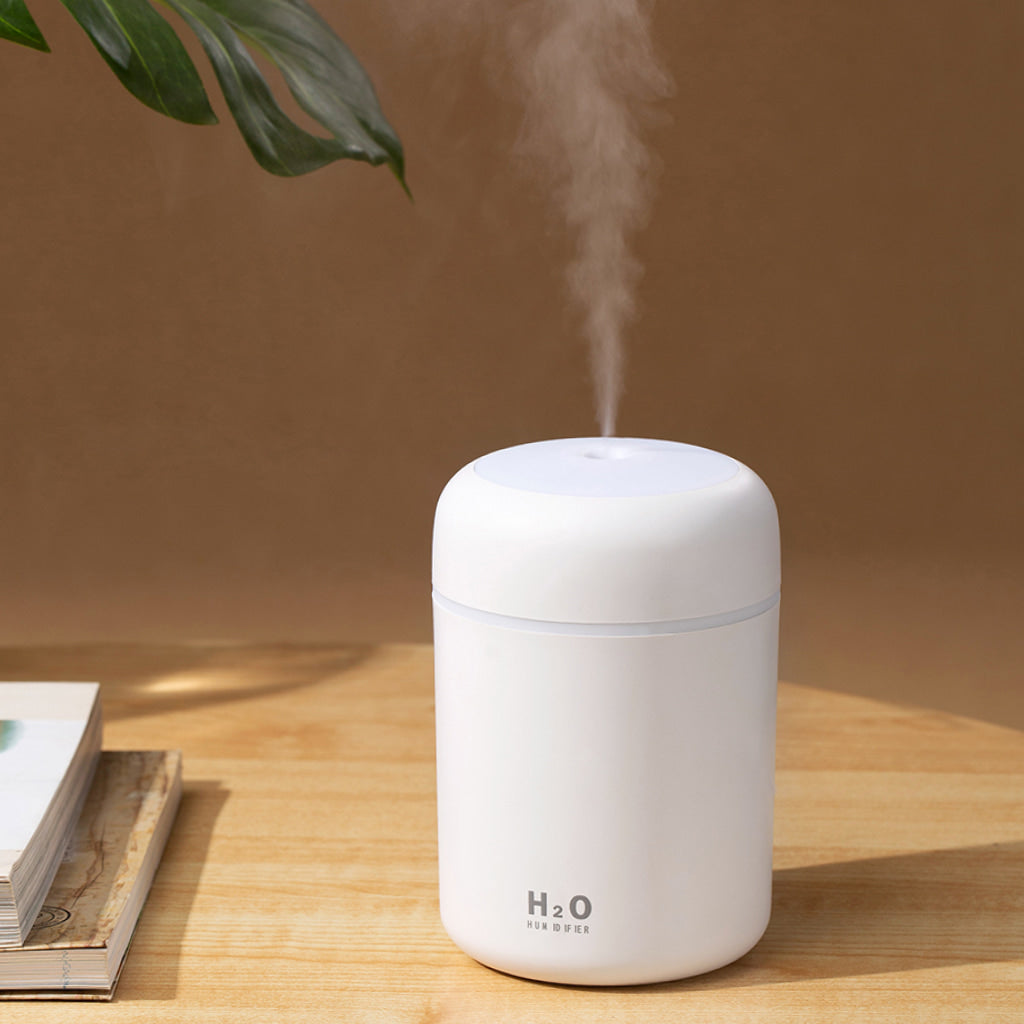 Lisslune | Mini LED Humidifier