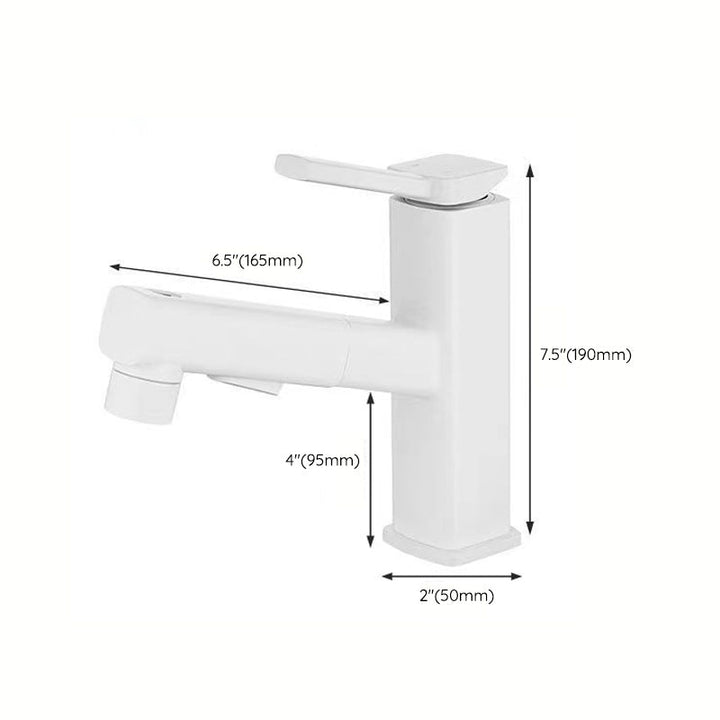 Lisslune | Modern Bathroom Sink Faucet with Brass Lever Handles and Swivel Spout