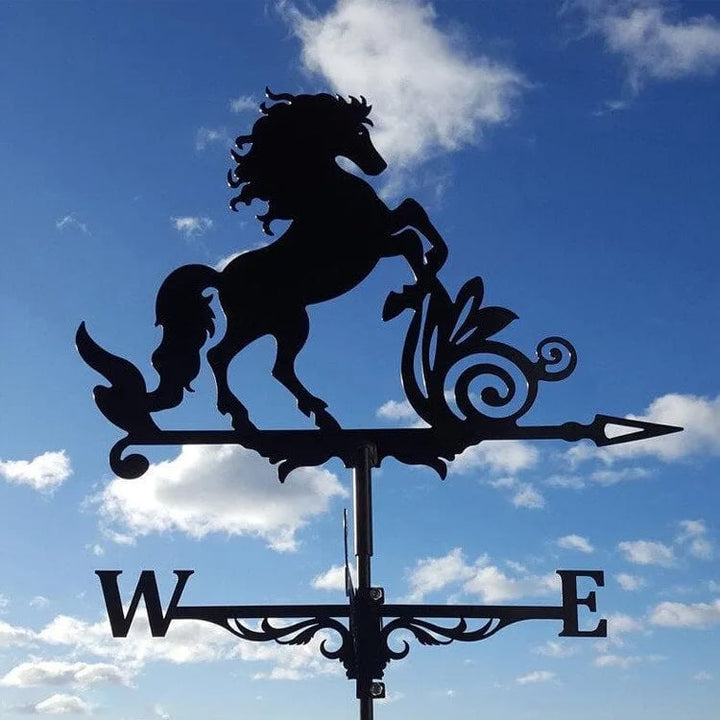 Lisslune | Stainless Steel Weather Vane!