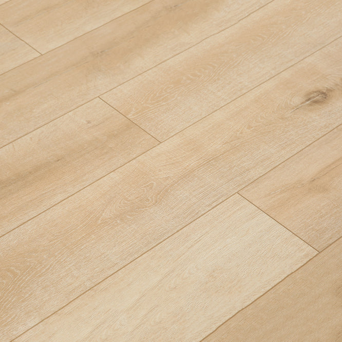 Lisslune | Contemporary Laminate Flooring Light Color Wood Laminate Flooring