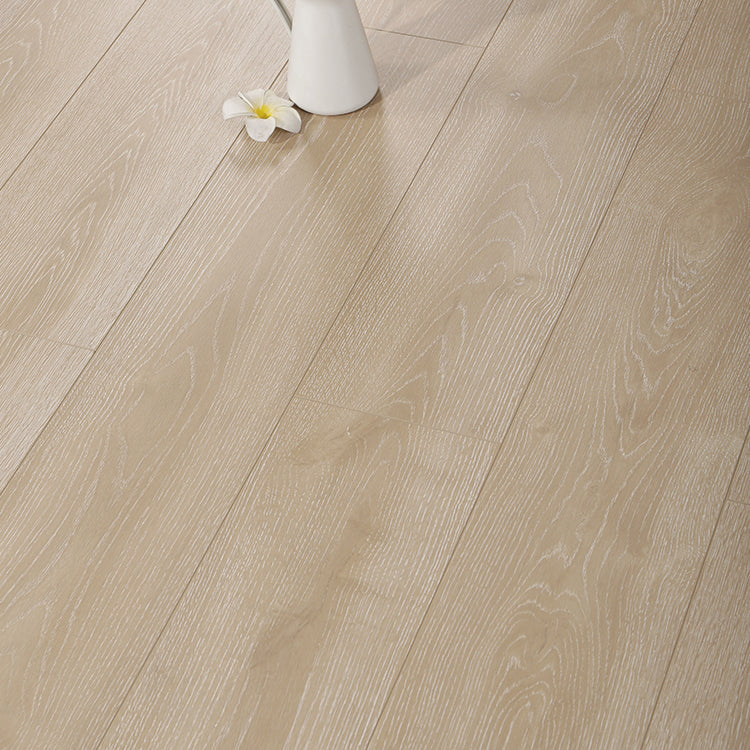 Lisslune | Contemporary Laminate Flooring Light Color Wood Laminate Flooring