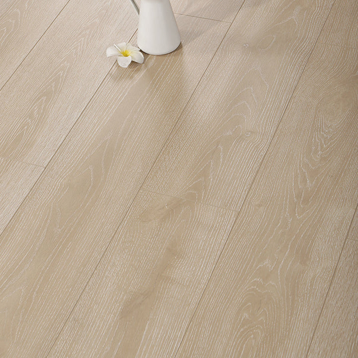 Lisslune | Contemporary Laminate Flooring Light Color Wood Laminate Flooring