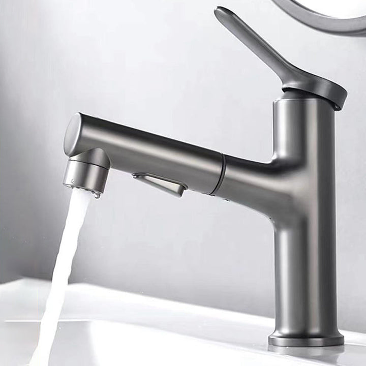Lisslune | Contemporary Style Faucet Single Lever Mixer with Swivel Spout