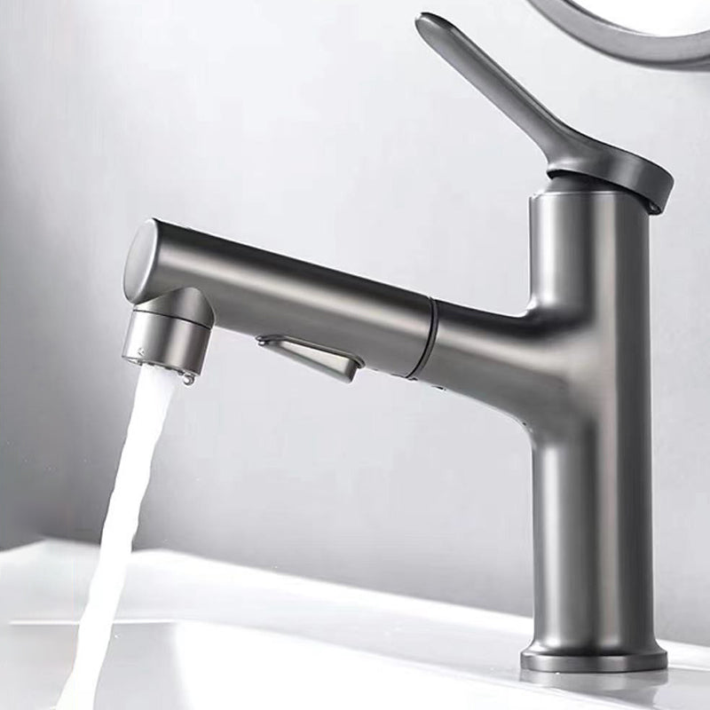 Lisslune | Contemporary Style Faucet Single Lever Mixer with Swivel Spout
