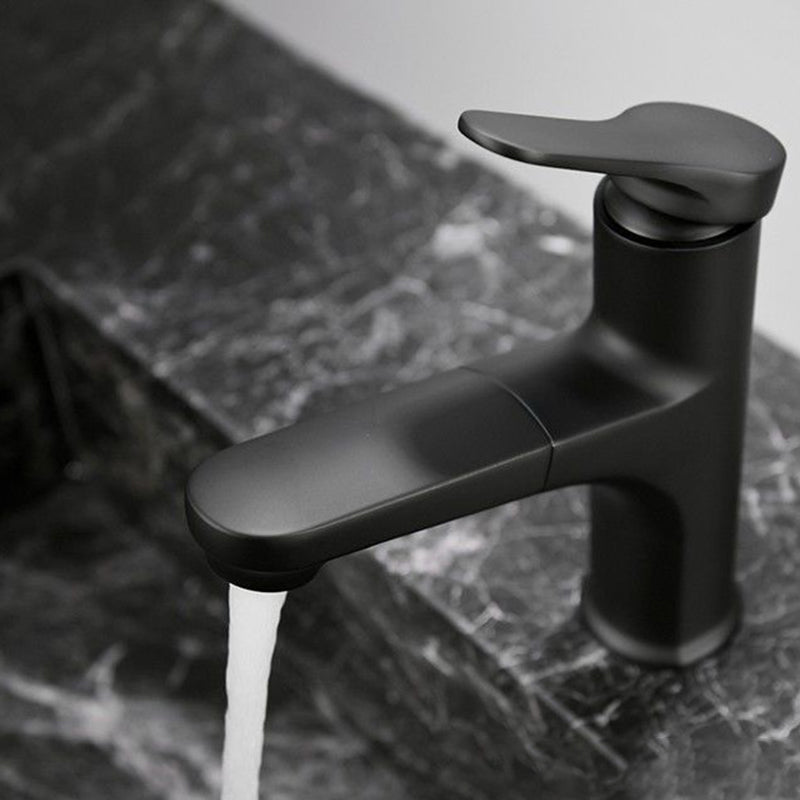 Lisslune | Contemporary Style Faucet Single Lever Mixer with Swivel Spout
