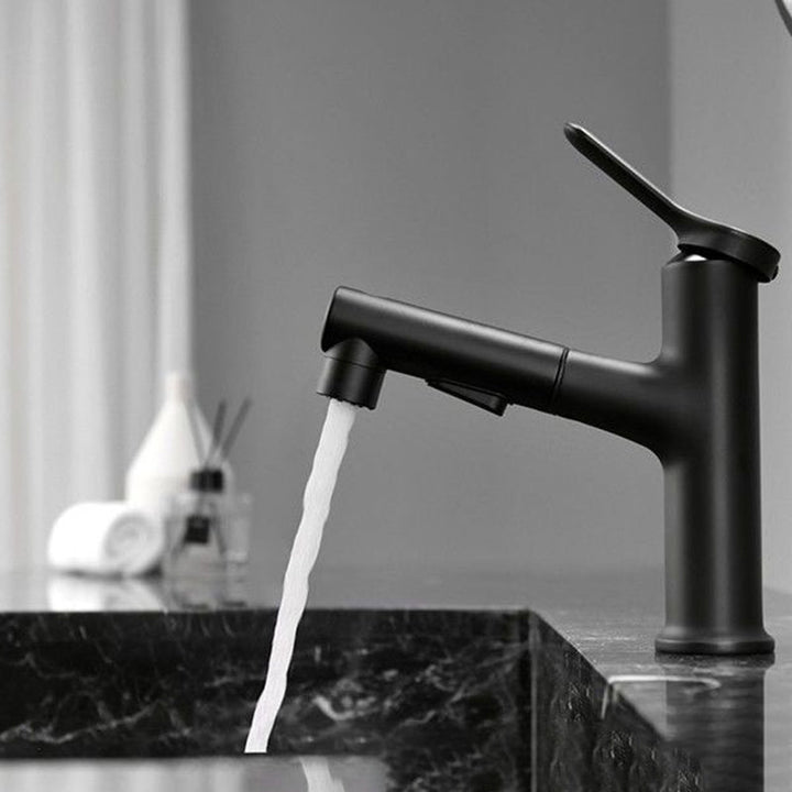 Lisslune | Contemporary Style Faucet Single Lever Mixer with Swivel Spout