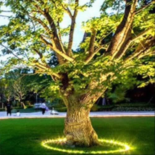 Lisslune | Warm White Outdoor LED Tree Uplight