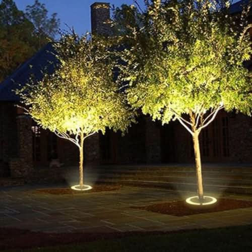 Lisslune | Warm White Outdoor LED Tree Uplight