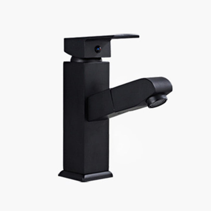 Lisslune | Contemporary Style Faucets Single Handle Swivel Spout Faucets