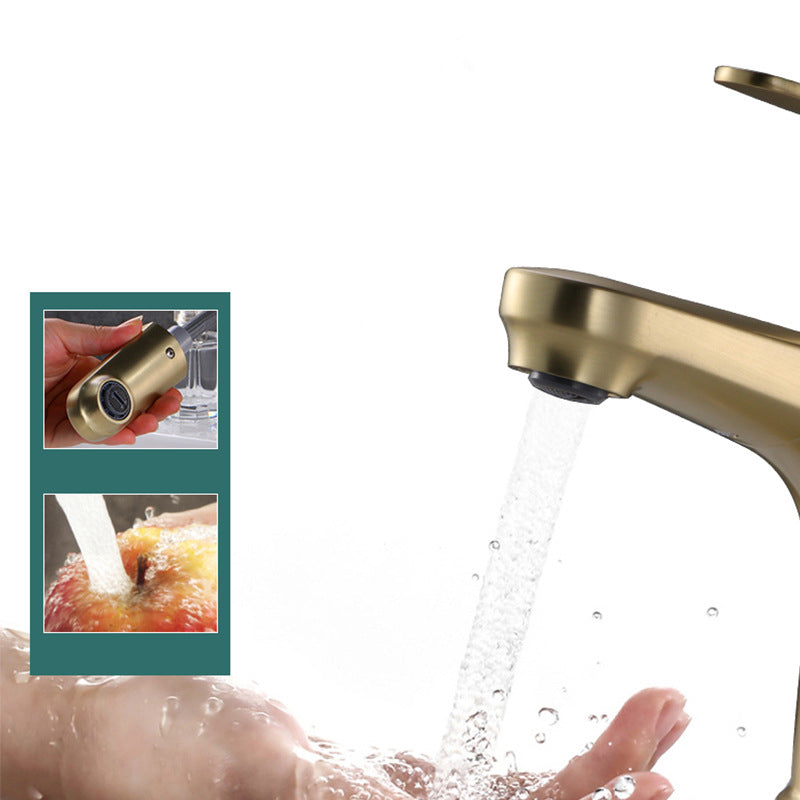 Lisslune | Contemporary Basin Faucet Copper Pure Color Single Handle Pull-Out Basin Faucet