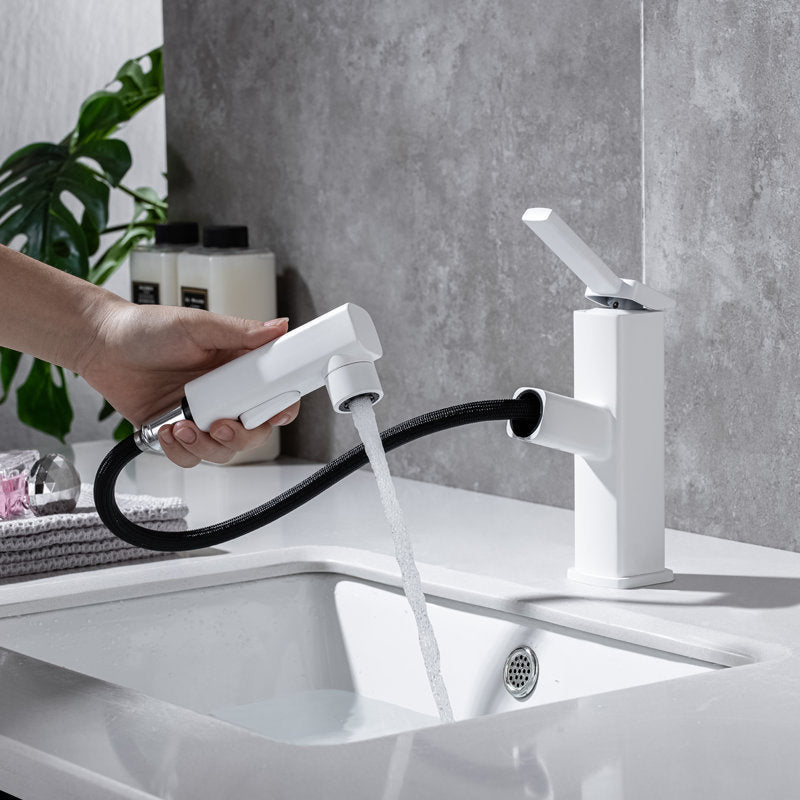 Lisslune | Lever handle fitting Pull-out basin mixer with swivel spout