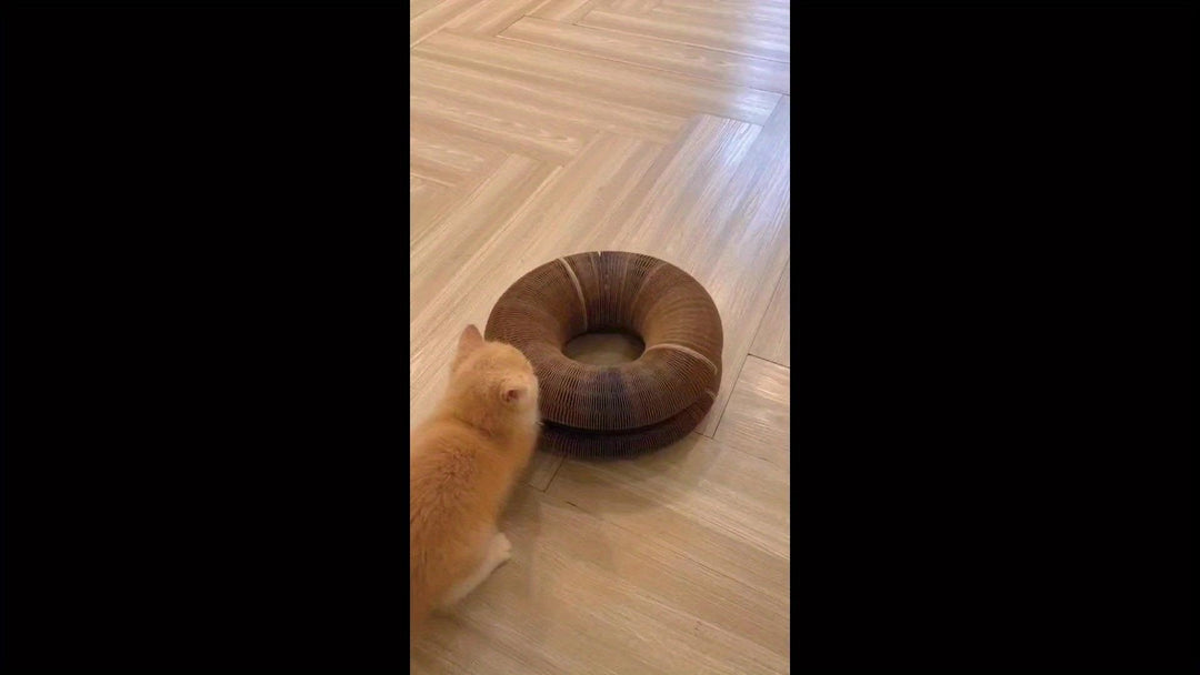 Lisslune | Ultimate Interactive Scratching Post - Engaging Playtime Solution for Indoor Cats