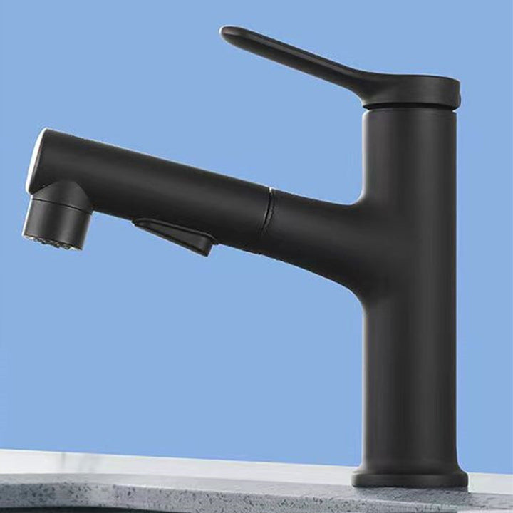 Lisslune | Vessel Sink Faucet Contemporary Pull-out Faucet with Swivel Spout
