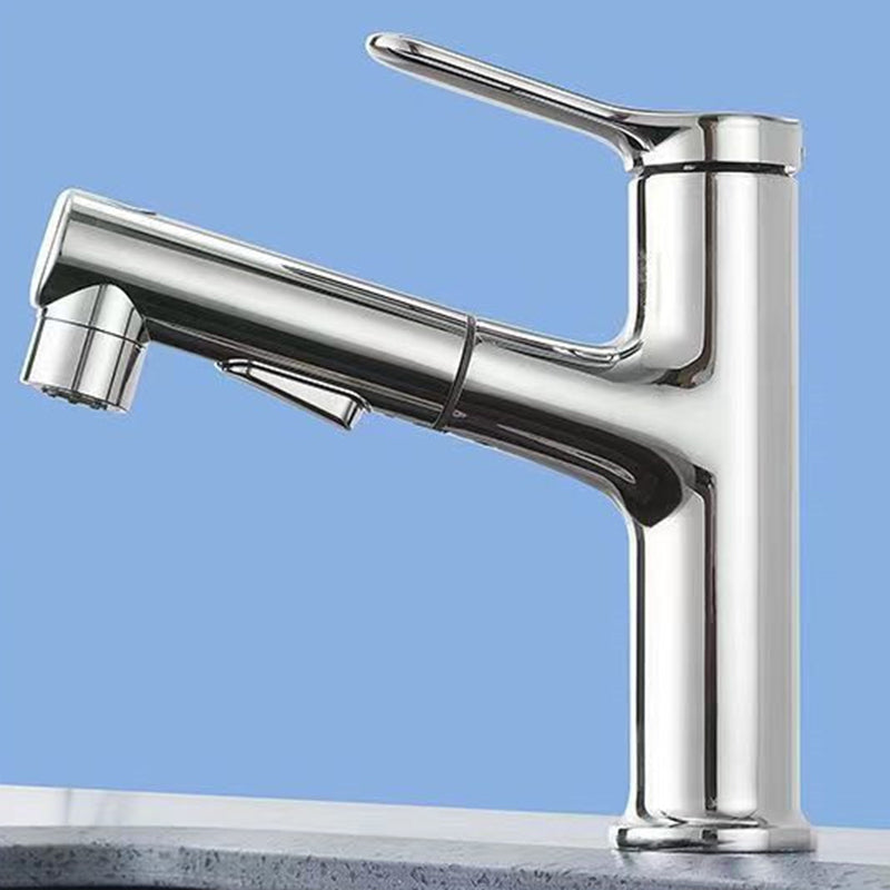 Lisslune | Vessel Sink Faucet Contemporary Pull-out Faucet with Swivel Spout