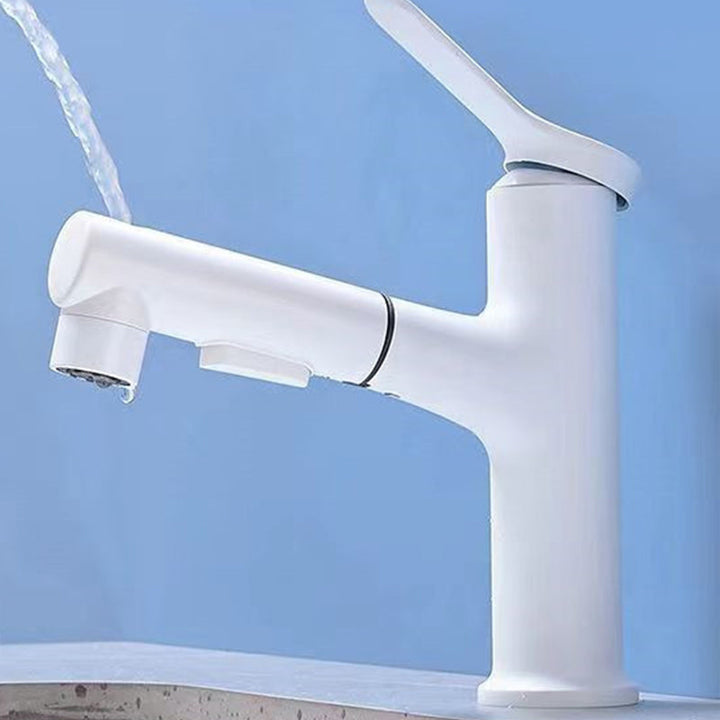 Lisslune | Vessel Sink Faucet Contemporary Pull-out Faucet with Swivel Spout